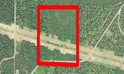 36 acres of timberland near Homer in Claiborne Parish, LA. Property has frontage on White Oak Cutoff Road which is an asphalt parish road. Electricity is available from a power line that runs through the southern half of the property. Minerals