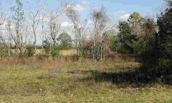 GREAT SITE FOR CUSTOM HOME. EXPERIENCE COUNTRY LIVING WHILE BEING CLOSE TO MEDICAL, SHOPPING AND RESTAURANTS. HORSES ALLOWED. PROPERTY HAS BEEN CLEARED. COME AND BUILD YOUR DREAM HOME TODAY!Listing originally posted at http