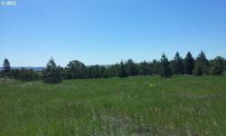 Incredible 80 acre parcel that is always loaded with deer. Perfect hunting spot with 160 acres of US land adjacent to the property. Secluded, but easy to get to. Contract terms are possible, so bring in your best offer. Also great place to run cows.