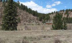Own your dream home on the South Fork of the Rio Grande River. Great views of surrounding mountains and the cliffs close by. Close to the Wolf Creek Ski Resort, Rio Grande Golf and Resort, fishing in backyard, and National Forest trailhead close