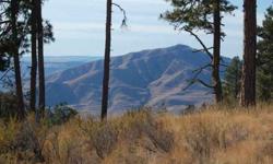 Awe inspiring acreage high above Chelan with lodgepole pine and 360 degree vista. Minimum lot sized at CVH is 20 acres (this one is 23+) and you can catch views of the mighty Columbia River, Chelan Butte, Stormy Mtn and more. Year around access (plowed as