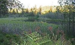 Beautiful piece of property with over 600 feet on the Little Spokane River. Build your dream home or cabin in the woods and fish right from your own stream. Several building sites. Property has a few level spots and hillsides. Lots of mature trees. Power