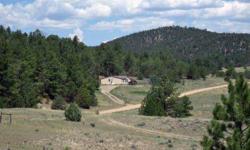 Located approximately 30 minutes from Westcliffe and Canon City CO is a 1271 SF home for people who want the seclusion of the country and the convenience and close proximity to town. The home is 3 bedrooms, 2 baths and sites on 5.25 acres. Just off a