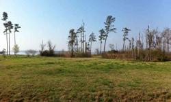 Waterfront lot on Little River, southern exposure and sunsets like nowhere else. Mature trees. Very motivated seller! Bring ALL offers!
Listing originally posted at http