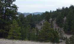 Beautiful 38 acres just one mile off pavement of Park County 102 Road. Boarders the Nash Ranch to the South and Bear Trap Ranch to the East. Partial view of Pikes Peak, full views of Castle Mountain, Mt. Pisgah and other surrounding mountains. Zoned A-1