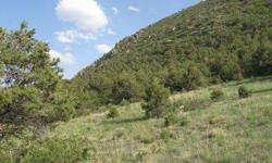 Great setting for yourl cabin/home up against the mountain with views that are endless. Sangre de Cristo Viewsl. Close to town. close to many outdoor activities. Fish, Hunt, Hike, Ski, it's all here for you to enjoy. Trees and meadow form to make a
