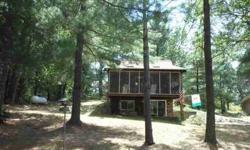 Come home to the Cozy Cabin on Lunch Creek. Nice view of the creek, Lot's of wildlife to watch. Bring your fly rod and enjoy this Class A stream! Gas fireplace in living room for those cool nights. Nice 4 car garage to store your toys. Screened in-porch