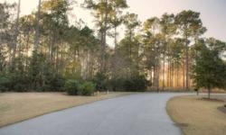 Private Cul-de-sac Lot in Gated Deepwater Poplar Grove 0 Ten Shillings Way Hollywood, SC 29470 USA Price