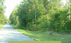 SUPER DEAL FOR THIS 45 ACRE WOODED TRACT...Located Just Outside of Wagener Near Edisto Lake Area This Super Property is Waiting for You!! Part Wooded in the Front w/Mixed Timber & More Heavily Wooded w/Oaks in the Rear!! So Many Wonderful Possibilities
