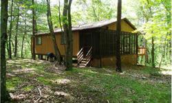 Tanglewood Cabin - Looking to get away from it all? Awesome setting on just over 3 acres close to the George Washington National Forest and 4-Season Bryce Resort! Tons of recreation await you nearby - hunt, hike, fish, ski, golf and tennis. Relax on the