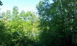 Location, Value, Lakeshore is property has all that you are looking for. Good fishing lake with privacy while still close to all town and its many amenities.Listing originally posted at http