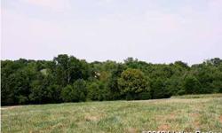 Beautiful building lot ,pasture, partly wooded,electric and city water on John HenryRd, Minutes to Taylorsville Lake area,minutes to Louisville Area,Hurry this will go fast,see attached survey,(Tract "A"915 Johnn Henry)Listing originally posted at http