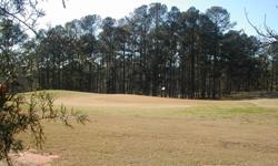 lIVE ON THE 5TH GREEN. lOT ON THE GOLF COURSE, TURTLE COVE COMMUNITY ON LAKE JACKSON GA.