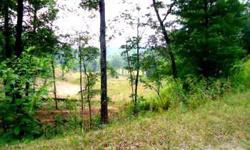 Developing community on the Toccoa River w/amenities to include clubhouse, swimming, tennis, gated entrance, etc. $9,900Listing originally posted at http