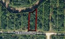 OWNER FINANCING AVAILABLE! Nice lot on canal. .40 acre (mol) in homes only area of Ridge Manor Estates. Secluded quiet area great for investment or to build your home in paradise, Close to the Withlacoochee River, Croom riding trails, state forest,