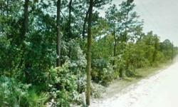 This huge 1/2 lot(lot 13) near Brooksville Florida is located in the coastal county of Hernando near the Gulf Of Mexico. Lot 13 would make an excellent building site with power available at the road and all utilities in the area. This pretty green parcel