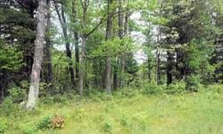 9 acre parcel is bordered on 2 sides by Federal Land 130 US 10 Idlewild, MI 49642 USA Price