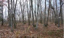 Attention hunters, 2 acre parcel perfect for your cabin in the woods, literally steps to State Forest property. Private, peaceful offering beautiful mountain views. Great hunting, fishing nearby at High point lake, ride your ATVs or snowmobile on