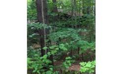 Build Green! Lovely, quiet stretch of road "off grid" near the beautiful Swift River. Perfect for a getaway where the only sound you'll hear is the river, lulling you to sleep. Nicely wooded with new sitework/driveway in 2010. Small "add-a-room" on land