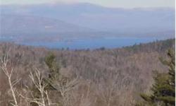 Fantastic opportunity to own 455+/- acres of land with spectacular VIEWS of Lake Winni., Gunstock, Ossipee Mtns and the Sandwich Range. This property boasts a beautiful brook, driveway and fantastic soils (GRAVEL)!! Perfect for a private estate or