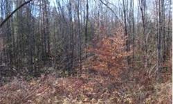 A wonderful rural 2.77 acre building lot with ample road frontage, cleared building site and a very peaceful setting. This lot has been Perc Tested (on file) and requires minimal preparation to start building your new home. There are several newer homes