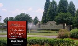 Cindy Feketewww.batonrougerealestatedeals.com(225)768-1840There's no doubt about it... Ascension Parish is growing and the demand for property has increased. Now is a great opportunity to purchase land to build your dream home in this desirable area and
