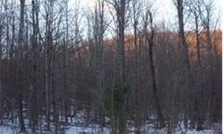 Two acre country building lot. Access to state snow mobile trails right out your front door. Come enjoy the outdoors in the lakes and mountains. Lot is just 3 miles to Interstate 93 yet a peaceful country setting.
Bedrooms: 0
Full Bathrooms: 0
Half