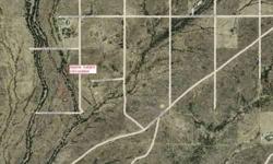 Debtors interest in a 4.13 acre lot on N. 305th Ave. Wittmann, AZ 85361 Maricopa County Parcel #503-90-927 Online Bidding Only! Bidding Starts Tomorrow 7/27/2012 Ends Wednesday 8/1/2012 at Noon AZ Time! AuctionAZ.com