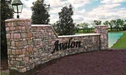 Get the best of both worlds for one of the best prices in the neighborhood! Awesome corner lot with great location. Avalon is located in the city limits of Montgomery, so you get all the city services, but you have a Pike Road address. Avalon offers a