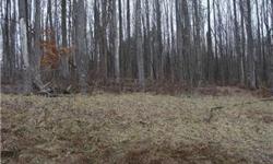 Look no further! Beautiful 5 acre wooded lot with mountain views. Owner is a builder and will build to suit or just build your own. Close to Andy Guest Park. Call for plat and cert letter.
Bedrooms: 0
Full Bathrooms: 0
Half Bathrooms: 0
Lot Size: 5 acres