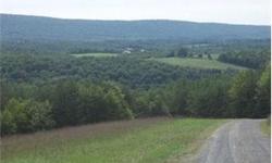 64.23 Acres fronting Autumn Acres Road. Large pond along with scenic mountain and pastoral views make this a great location for full or part time living. Adjoining 56.12 Acres available
Bedrooms: 0
Full Bathrooms: 0
Half Bathrooms: 0
Lot Size: 64.23