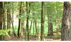 This 2.00 acre lot is nestled in the quiet woods of Thunderbird Hills. Come by and check out the location. Great area for new cabin or chalet. Close to CaCapon State Park and all it's amenities. You can see the golf course from this lot.Great neighborhood