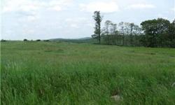 3 Acres of Beautiful Meadow and mountain views! Lots are cleared. Underground electric and phone to each lot. Well and Septic needed. Walk on a path to the Coopers Rock State Forest. Just minutes from Morgantown and Deep Creek Lake. Taxes are estimated.