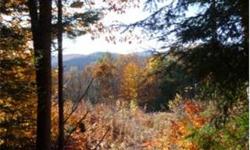 Great road frontage and room to roam. This property would be the perfect location for a mountain get-away, private residence or subdivision. Make your own walking trails and enjoy all the space on this 127 acre lot. Lots of views with more cutting. Close