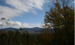 This spectacular building lot offers direct and uninterrupted views of Mount Washington. The only lot currently being offered with these rare views! Bring your plans and build the vacation getaway of your dreams while enjoying the amenities that the Mount