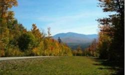 October Special!! All lots put under agreement in October will receive a free 4 bedroom State Approved septic design, and a $10,000.00 credit for driveway/home site preparation! Spectacular parcel with panoramic views and southern exposure. 24+/- acres of