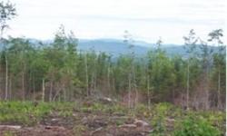 Large tract of land just waiting to be your NH playground. 22.32 acre parcel has been cleared and is ready for it's new owners to site that dream home or weekend get-a way. Pleasant mountain views are obtainable along with a close proximity to all the