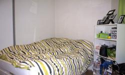 209 Beverley Street - Toronto, ONA decent to large size room for rent form May 1st to August 31st.$550/month - utilities and internet includedFurnished - desk, chairs, bed, table, shelving in the bedroom.Main floor room. Shared kitchen area (2 fridges), 2