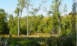 Large building lot in quiet country setting. Use your imagination to shape this lot to build your dream home. Nature abounds in this peaceful quiet location.
Bedrooms: 0
Full Bathrooms: 0
Half Bathrooms: 0
Lot Size: 7.49 acres
Type: Land
County: