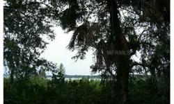 HEAVILY TREED LOT DIRECTLY ON CLERMONT'S CHAIN OF LAKES. ADJACENT TO AND PART OF PALISADES COUNTRY CLUB. ONE OF A KIND LOT, ALMOST AN ACRE. OWNER FINANCING. OWNER WILL FINANCE WITH 15% DOWN, 7 INTEREST, 15 YR. AMORTIZATION, 5 YR. BALLOON. MAKE AN OFFER!
