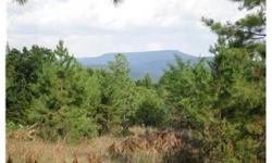 Very scenic, gently rolling timberland with expansive panoramic views encompassing majestic Mt. Magazine, the highest peak in Arkansas. Abundant wildlife. Large pond. Wildlife galore. Beautiful building sites with mountain and valley views.
Bedrooms: 0