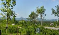 Dramatic White Mountain views from a well-planned mountaintop community in Conway, New Hampshire. Just minutes from Conway Lake and the North Conway shopping district, you'll always have something to do. And, living in the heart of the White Mountains,