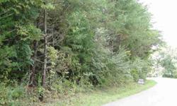 Situated in a well established neighborhood, this single family lot is ready to build on. Property is wooded with pretty views of Eastern Putnam County. City water and Upper Cumberland electric available at road.Listing originally posted at http