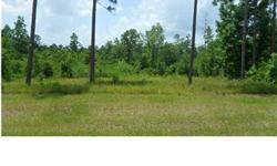 WEST OAKS....LOVELY VIEWS!! ATMORE ALABAMA ..... SPOIL YOURSELF WITH THE PERFECT PLACE TO SETTLE DOWN!!! This is a restricted subdivision with all lots being three(3) acres or more. It is beautiful wooded and a very private area. 2000 sq ft home is
