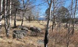 EZ ACCESS/NATIONAL FOREST DOWN THE ROAD APPROX. 3/4'S OF A MILE, WITH TRAILS FOR HIKING/4WHEELING/HORSEBACKING TRULY A WONDERFUL LOT TO OWN. VIEWS OF PIKES PEAK/ROCK FORMATIONS/TREES AND GRASS LAND. THE LOT NEXT DOOR IS AVAILABLE, SO THIS WOULD INCREASE