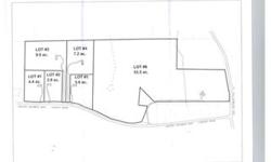 Flag Lot
Bedrooms: 0
Full Bathrooms: 0
Half Bathrooms: 0
Lot Size: 9.5 acres
Type: Land
County: Orange County
Year Built: 0
Status: Active
Subdivision: --
Area: --
Street: Type: Public, Surface: Paved
Utilities: Utilities on Abutting Site: Cable,