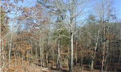 Build your cabin here!! Or build several cabins for rental because this property is less than 5 miles from Little River Canyon and the JSU Field School. Wooded with a creek in the back, beautiful views of the mountain!
Bedrooms: 0
Full Bathrooms: 0
Half