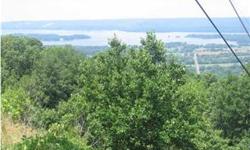 Looking for land and a spectacular view of the Tennessee River? Then you need to see this property. 59 acres (+/-) located in Jackson County. Hardwood timber abounds on this property. Developers would be interested in subdividing or developing a