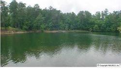 Lewis Smith Lake-Wooded gently slopping 2 plus Ac. lot. Deep year round water, rock shoreline, blue/green water, restricted sub., paved roads, great level building area, on a quiet area of the lake. Close to Arley for shopping, groceries, banks, churches,