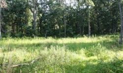 PERFECT SETTING TO BUILD THAT DREAM HOME OR JUST A PRIVATE GETAWAY. THIS SECLUDED LOT SITS ON APPROXIMATELY 5.49 ACRES OF MATURE TREES AND HAS ROOM TO BUILD A SPACIOUS POLE SHED. GREAT OPPORTUNITY TO BUILD THAT DREAM HOEM WITH MINIMAL RESTRICTIONS.